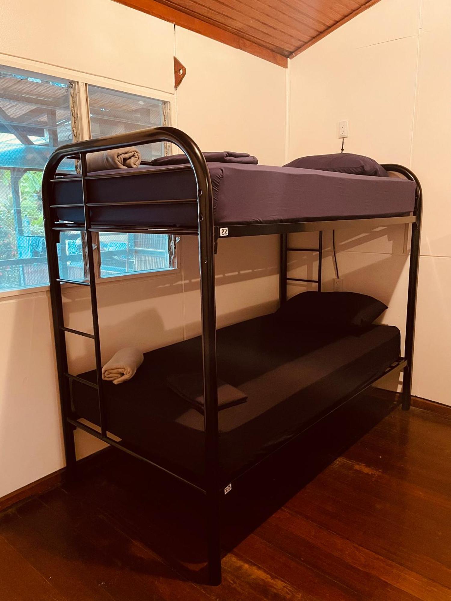 El Clan Hostel Puerto Viejo de Talamanca エクステリア 写真